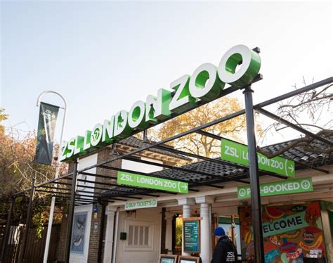 London Zoo tickets for just £3 and free entry for kids! - MoneyMagpie