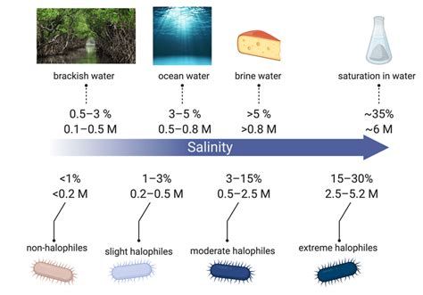 Classification of halophiles based on different levels of salt... | Download Scientific Diagram