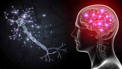 How Brain Cells Communicate With Each Other