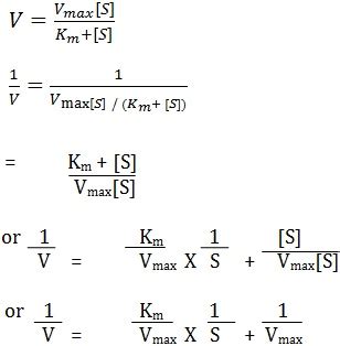 Enzyme Kinetics Assignment Help| Homework Help| Online Biochemistry ...