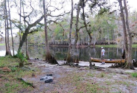 Legendary Fisheating Creek kayaking lives up to hype