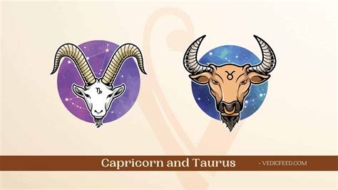 Capricorn and Taurus Compatibility In Love, Friendship & More