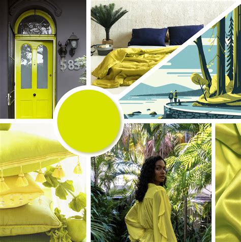 Color Story: Citron — HATCH