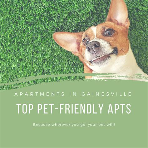 Top Pet-Friendly Apartments in Gainesville! – Apartments in Gainesville, FL