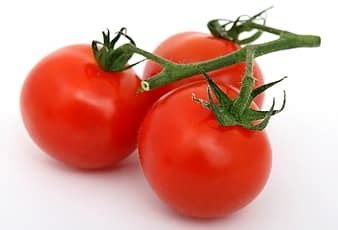 tomato, red, fresh, vegetable, diet, salad, raw, ripe, food, nutritious | Pikist