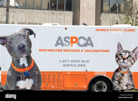 ASPCA The American Society for the Prevention of Cruelty to Animals Stock Photo, Royalty Free ...