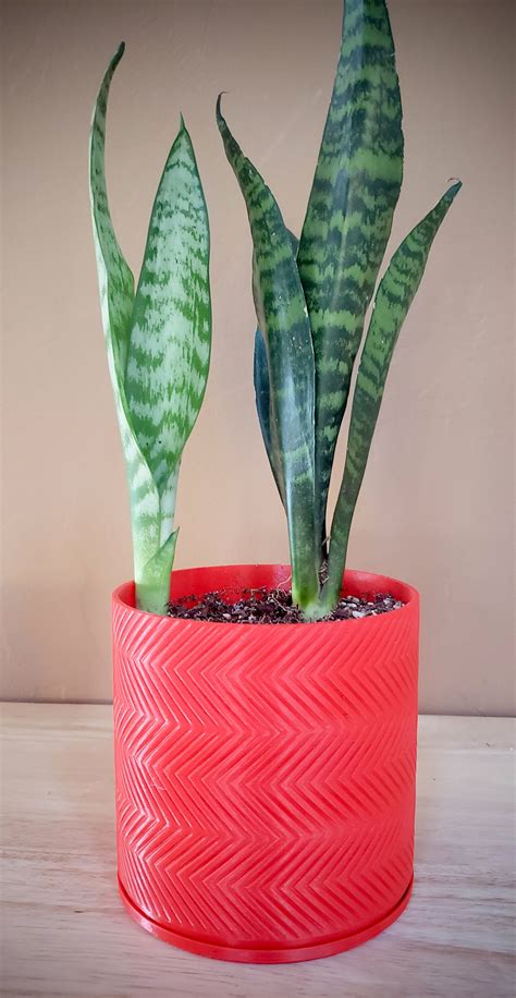 3D Printed Indoor Planter, Eco Friendly, Succulent Pots, Cacti Pots, Indoor Plant Pots - Etsy ...