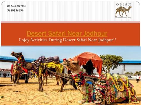 PPT - Enjoy Activities During Desert Safari Near Jodhpur!! PowerPoint Presentation - ID:11114860