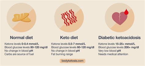 The Ultimate Guide On How To Get Into Ketosis Fast? (Under 36 Hours) | Bodyketosis