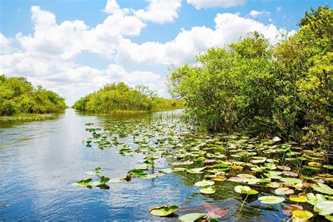 Tourist Destination Everglades