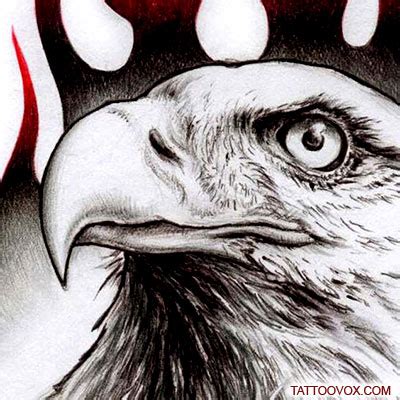 Flamming Eagle head tattoo design - TattooVox Professional Tattoo Designs Online