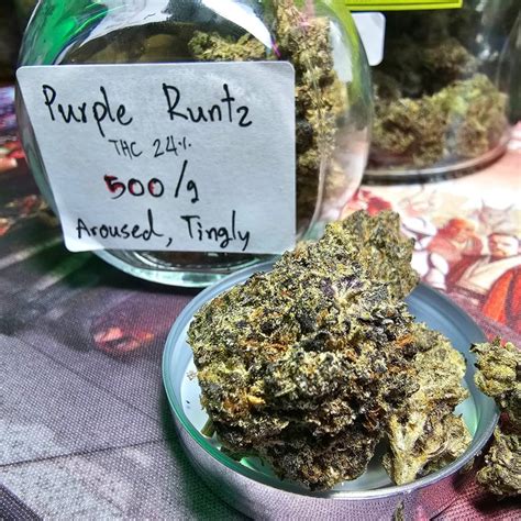 Purple Runtz Cannabis Flower at START WEED BY CHILL OUT in Phuket ...