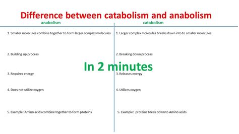 Anabolism vs Catabolism | Differences between anabolism and catabolism ...