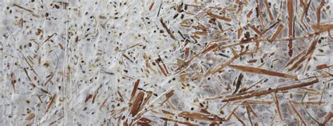 Producing mycelium insulation - Critical Concrete