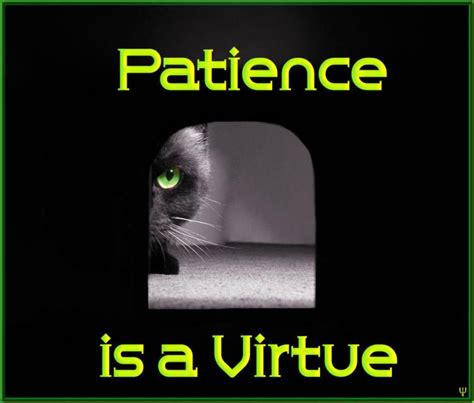 Life Reflexology: Patience Is A Virtue!