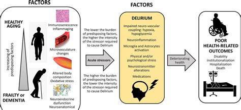 Delirium – causes, symptoms, diagnosis and treatment [EXPLAINED] – Healthy Food Near Me