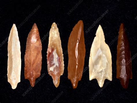 Neolithic flint arrowheads - Stock Image - C014/1031 - Science Photo Library