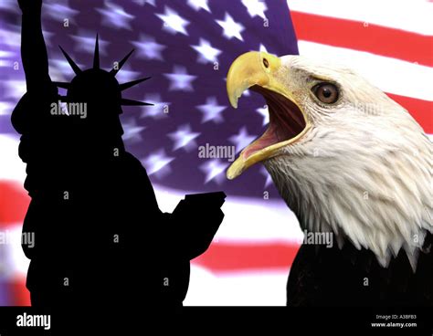 Patriotism in the USA Statue of Liberty Bald Eagle Stock Photo - Alamy