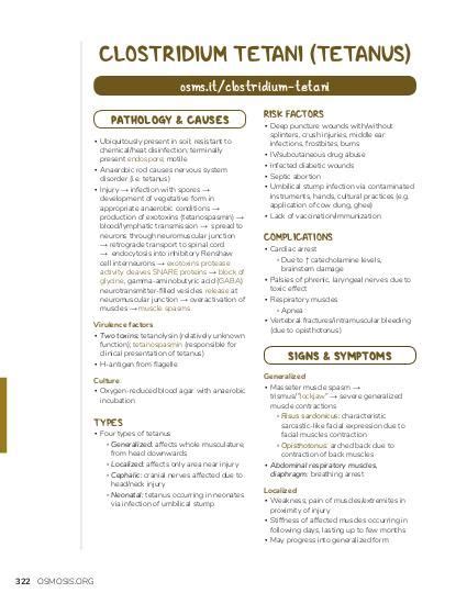 Clostridium tetani (Tetanus) | Osmosis