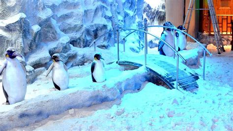 Snow World Phoenix Mall Kurla / Snow world mumbai(kurla phoenix market ...