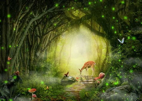 10x8ft Vinyl Photo Background Fairy Tale Forest Trees Path Deer Studio ...