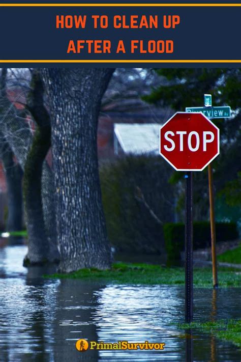 How to Clean Up After a Flood