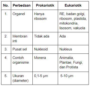 Contoh Makhluk Hidup Prokariotik – Ilmu