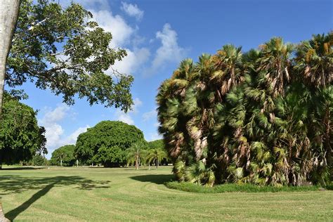 Hollywood Beach Golf Course X11 Photograph by Dick Sauer - Pixels