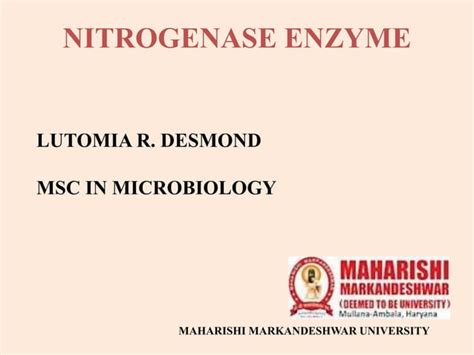 Nitrogenase Enzyme Complex Explained | PPT