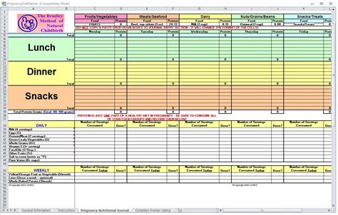 Pregnancy Diet Spreadsheet | Pregnancy Diet Template