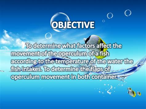 PPT - The observation of the operculum movement of fish in different temperature of water ...