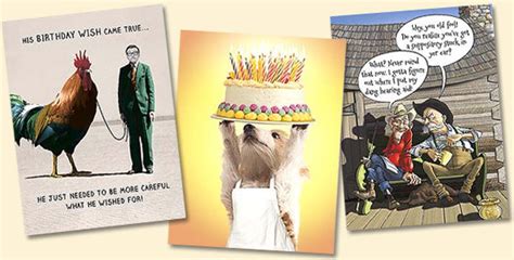 Funny & Humorous Birthday Cards
