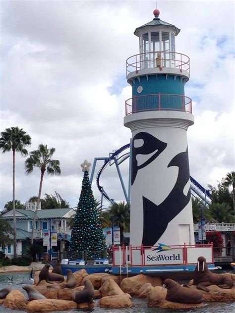 Sea World Orlando At Christmas