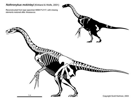 Project 1 - Therizinosaurus | Prehistoric animals, Animal skeletons, Ancient animals