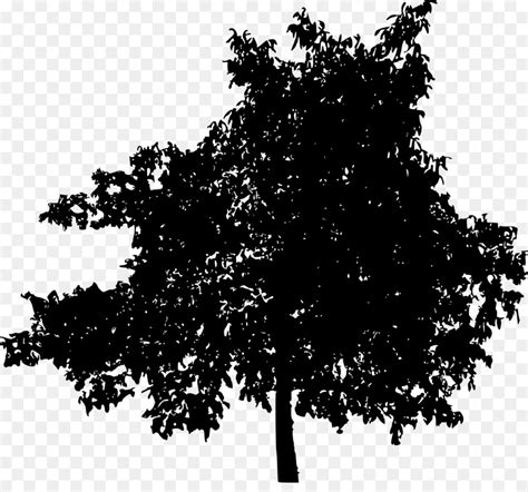 Free Tree With Transparent Background, Download Free Tree With Transparent Background png images ...