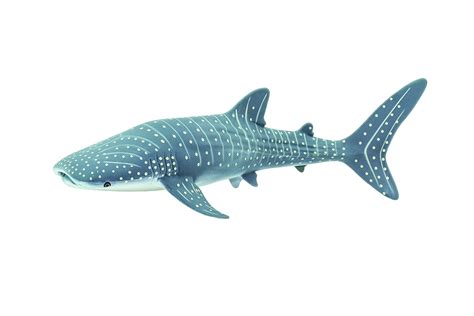 The Best Schleich Whale Shark - Home Previews