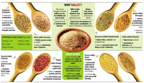 The nutrient rich counterparts of wheat and rice