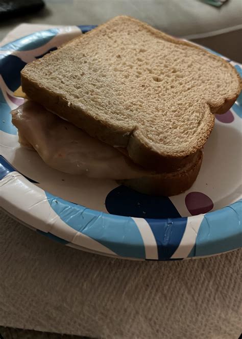 Basic Turkey and Ham sandwich : r/Sandwiches