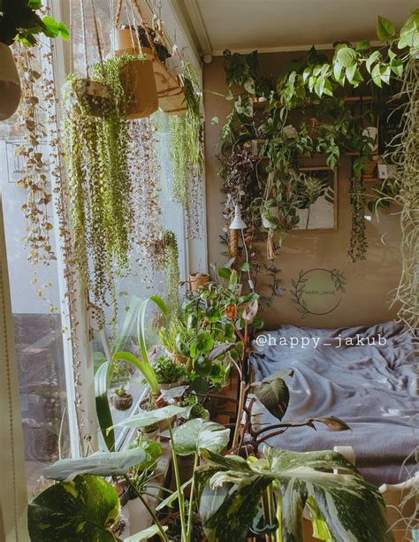 My bedroom looks like i'm losing a game of jumanji : r/houseplants