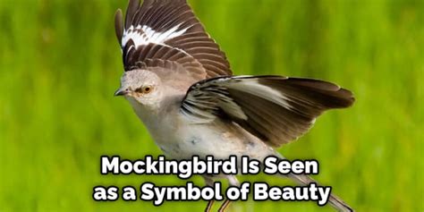 Mockingbird Spiritual Meaning, Symbolism, and Totem | (2022)