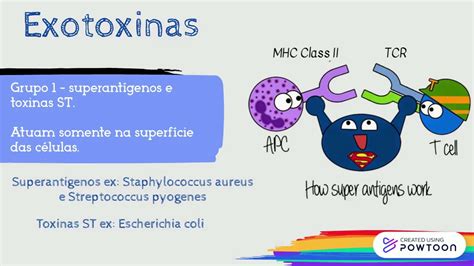 Toxinas Bacterianas - Endotoxinas e Exotoxinas - YouTube