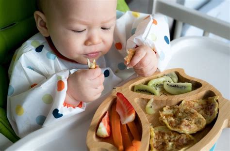 Baby Led Weaning First Foods, Healthy Fats, Healthy Choices, Baby Food Recipes, Snack Recipes ...