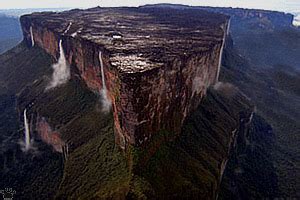 Homepage of Vladimir Dinets - Mount Roraima, Part 1