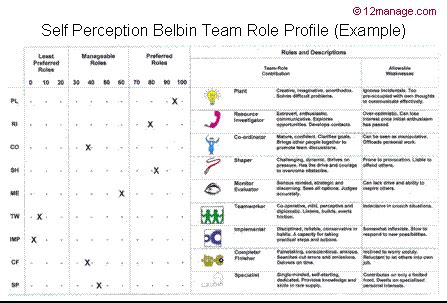 Belbin Self Perception Test - mediagetforex