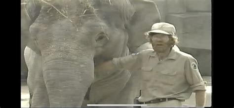 Asian Elephant ( Zoo Safari Gymboree) May 6 1988 : Zoo Safari Gymboree ...