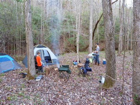 Dewberry Lands: Multiple Use Forest (Camping)