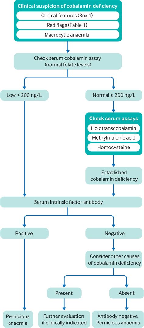 Pernicious anaemia | The BMJ