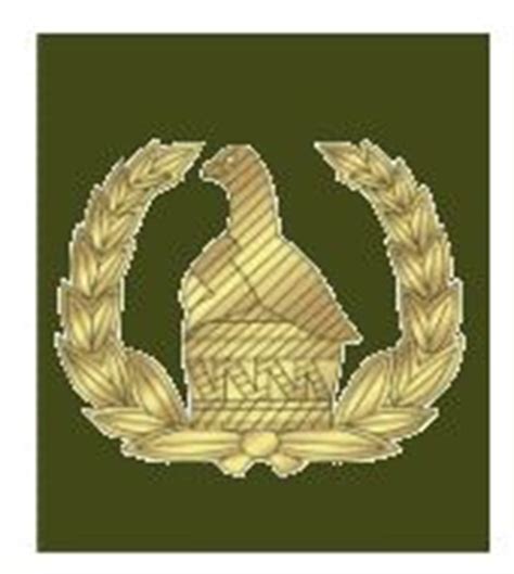 Zimbabwe Army ranks land ground forces combat field uniforms military equipment grades uniformes ...