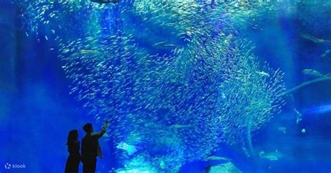 Aqua World Ibaraki Oarai Aquarium Ticket - Klook