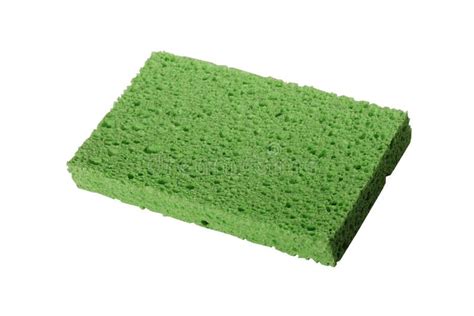 Green sponge stock image. Image of clean, white, texture - 4642135